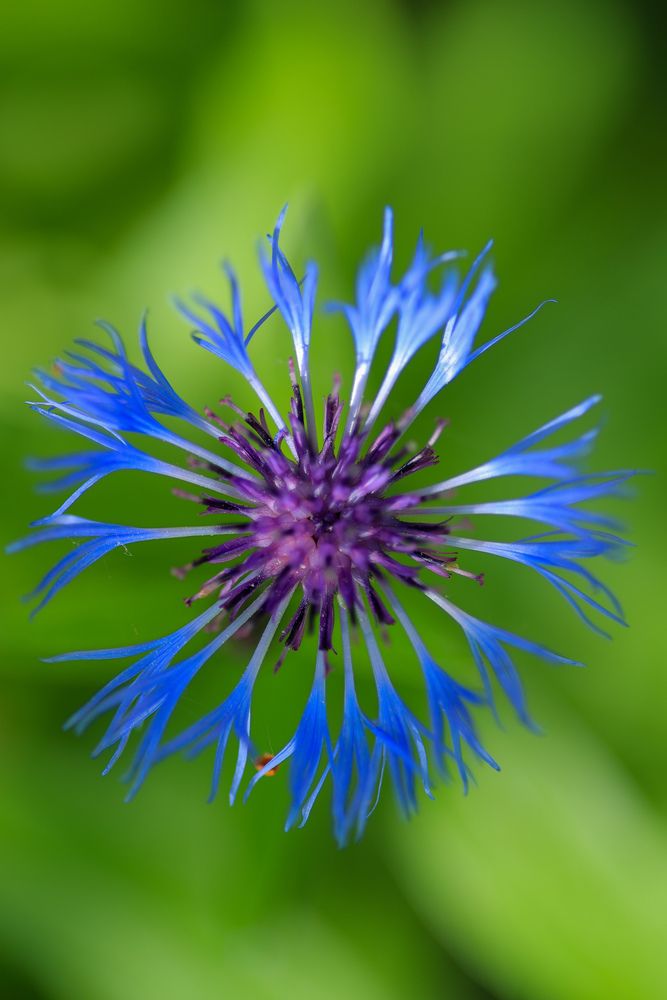 Фотография автора Natalia Antipas