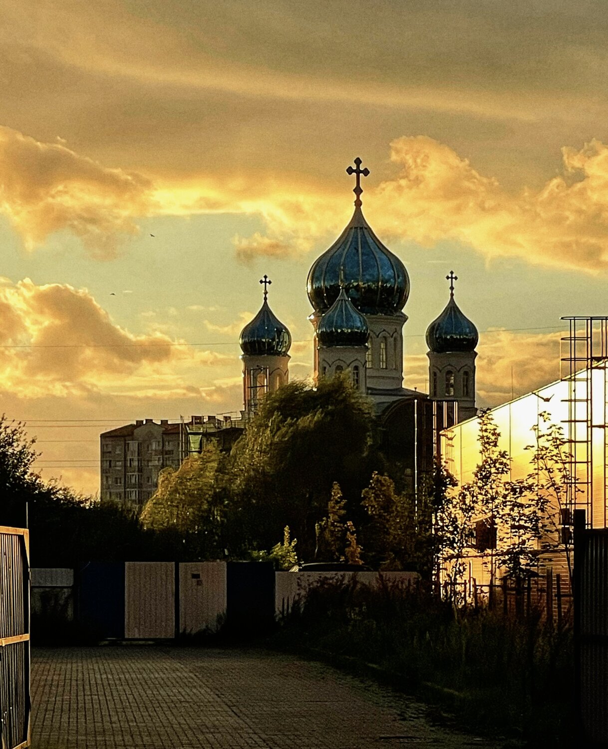 В лучах закатного солнца☀️