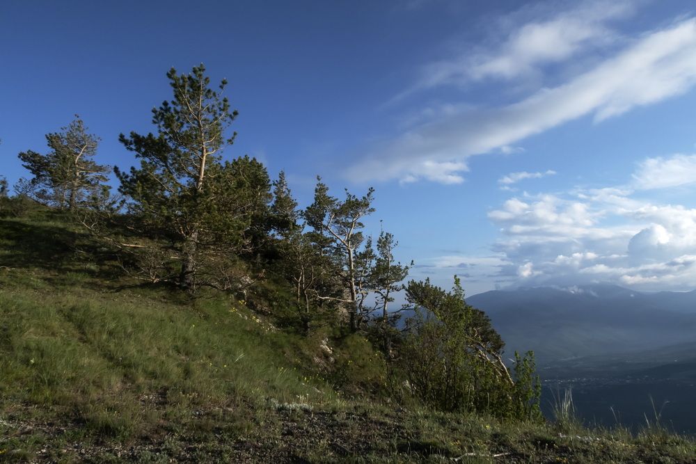 Конец мая. Демерджи