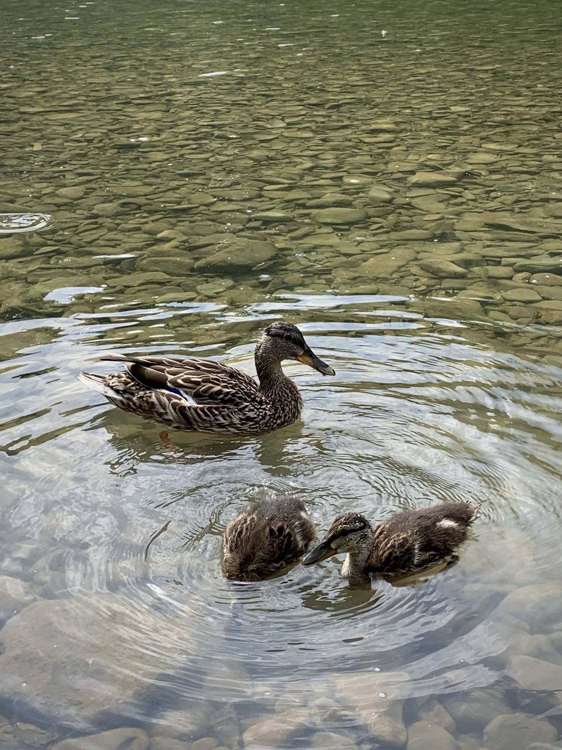 Фотография #13168082