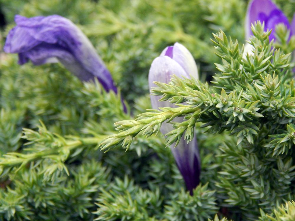 Photograph by Кирилл Елесин