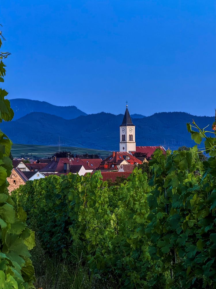 Photograph by Tatyana Pomogaeva