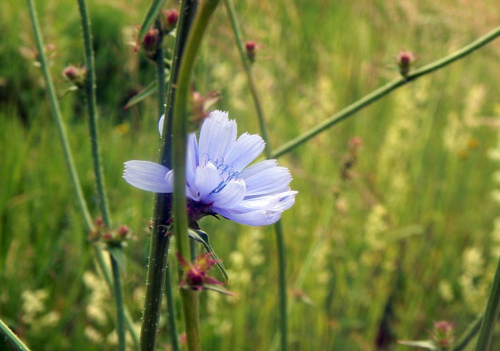 Photograph by Кирилл Елесин