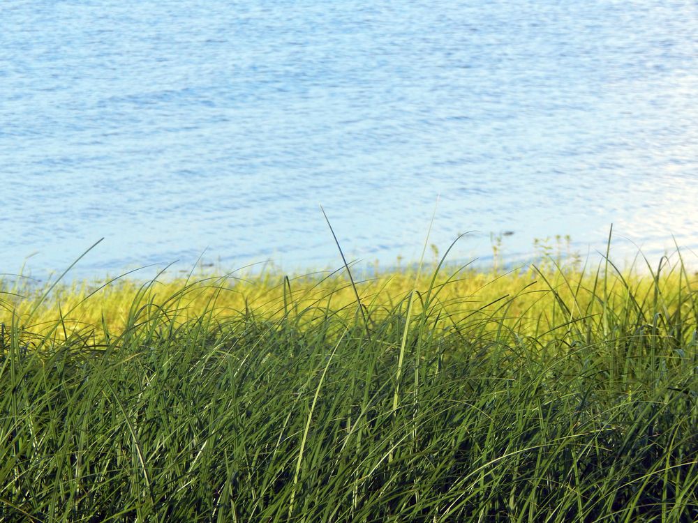 Photograph by Кирилл Елесин