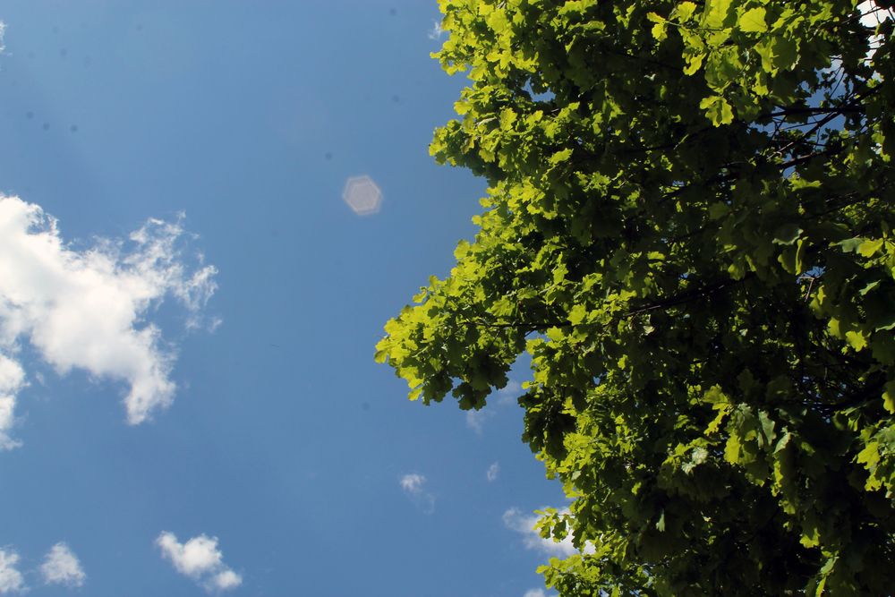 Photograph by Кирилл Елесин