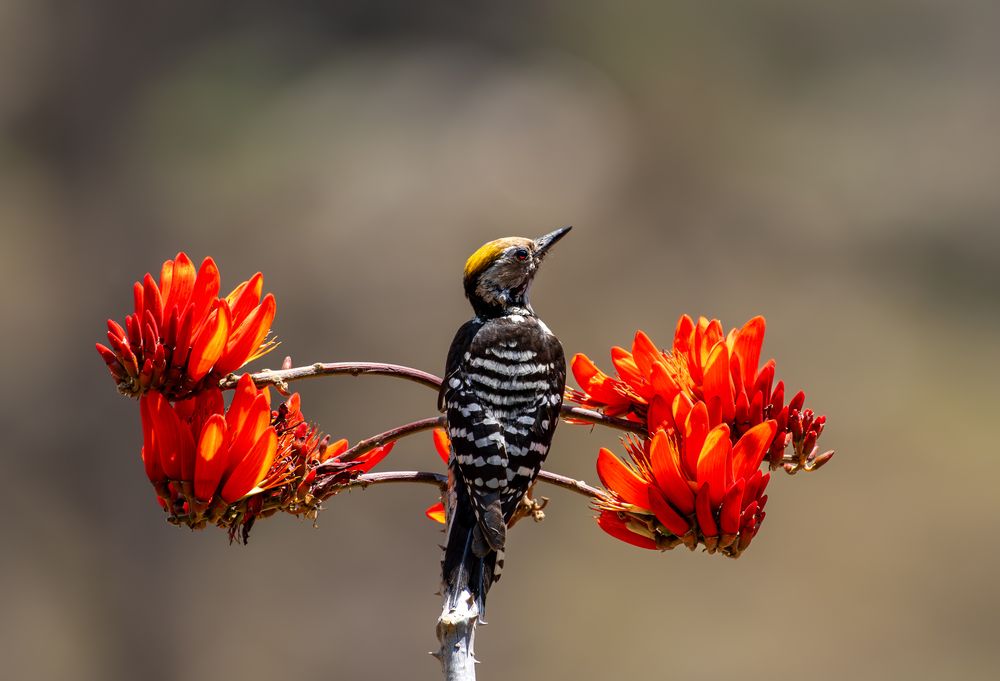 Photograph by Vijay singh Rana