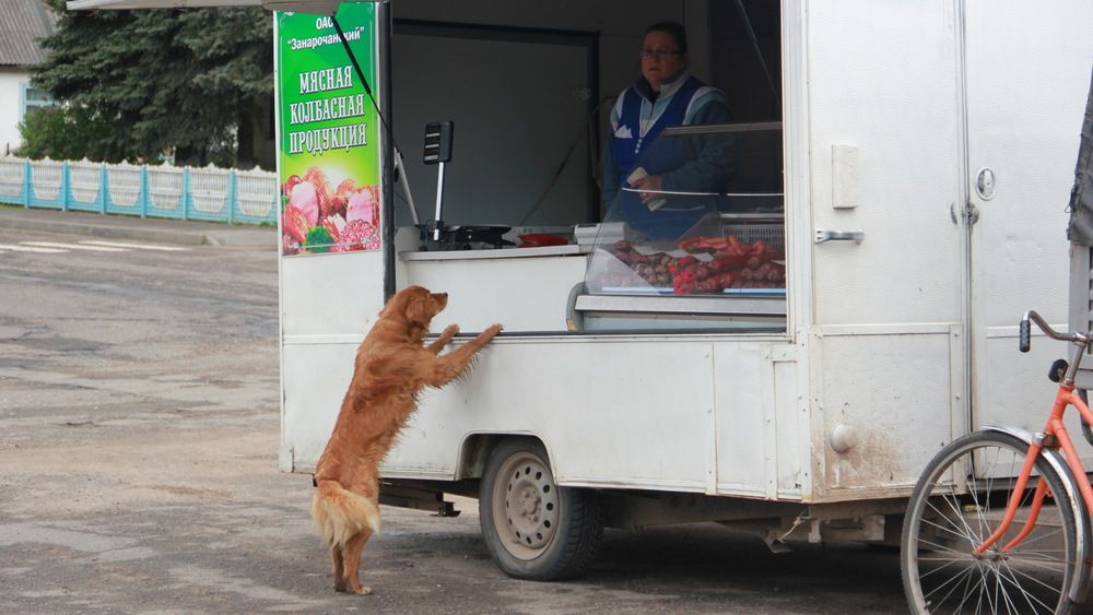 Фотография автора Анна-Лаймуте Милошевич