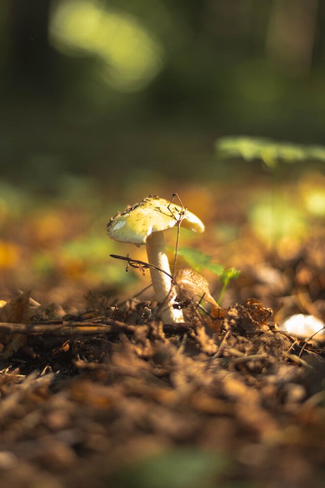 Photograph by Ekaterina Gergeeva