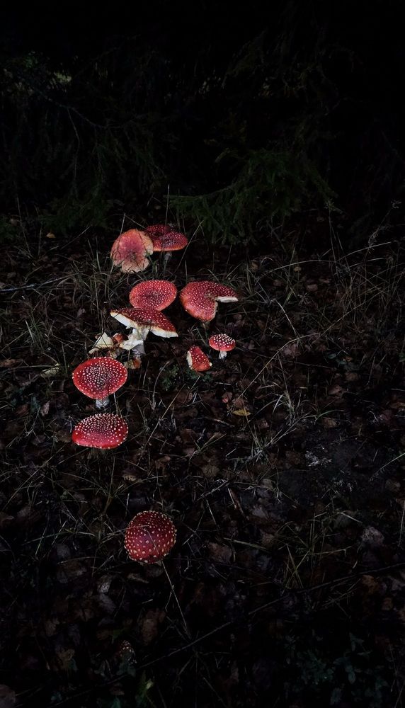 Photograph by Ekaterina Gergeeva