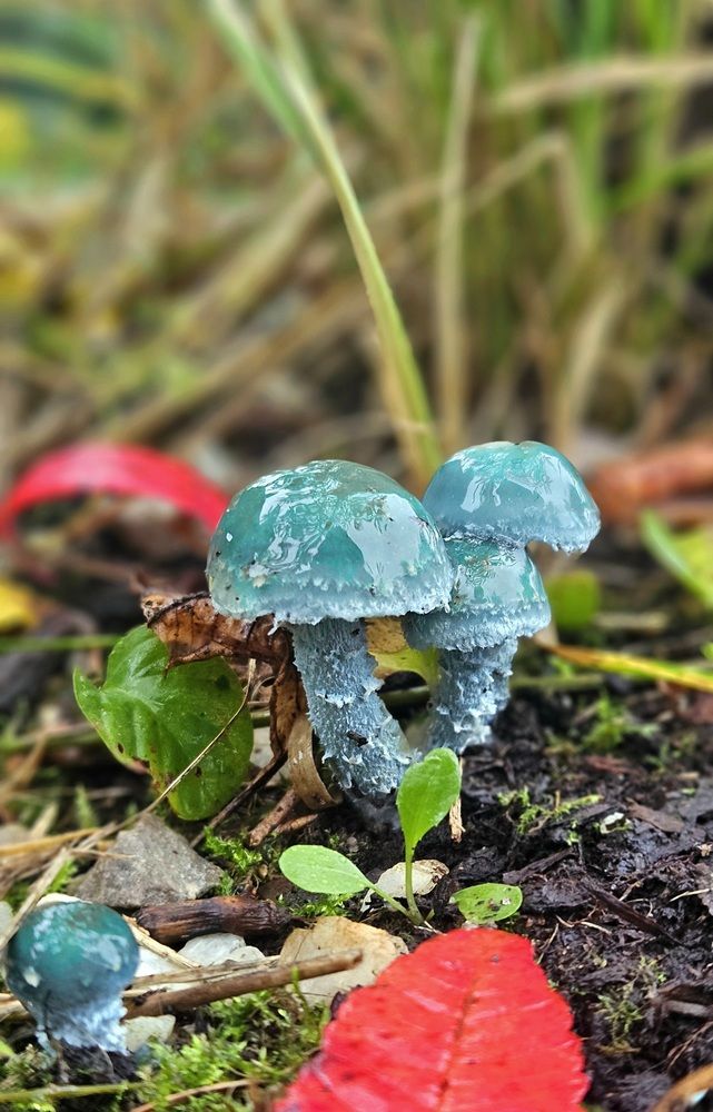 Photograph by Ekaterina Gergeeva