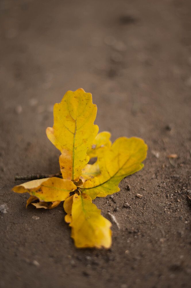 Photograph by Ekaterina Gergeeva