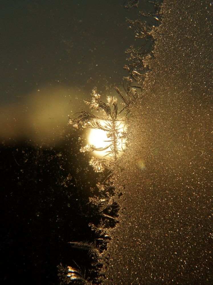 Photograph by Анастасия Юрьева