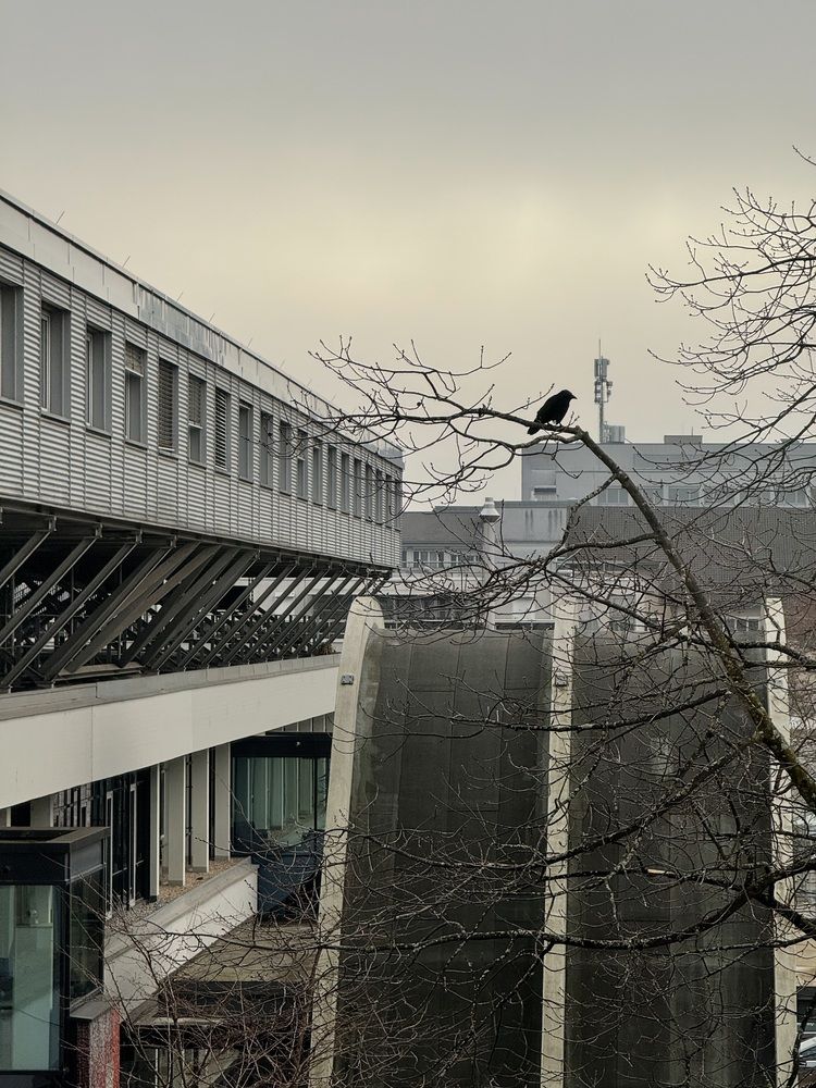 Фотография автора Tatyana Pomogaeva