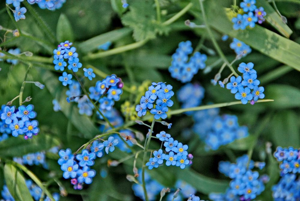 Photograph by Анастасия Смирнова