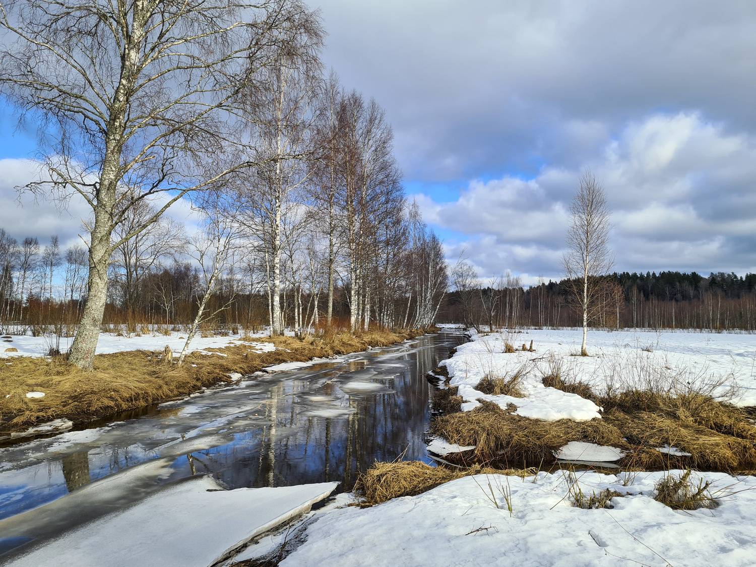 Photo #13168239