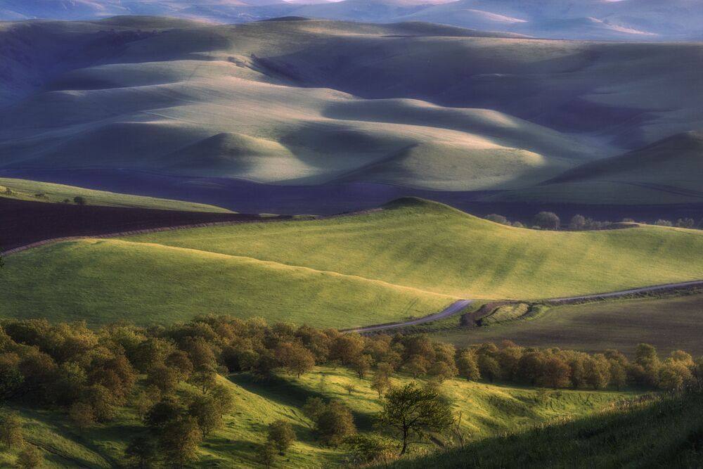 Фотография автора Гусева Елена