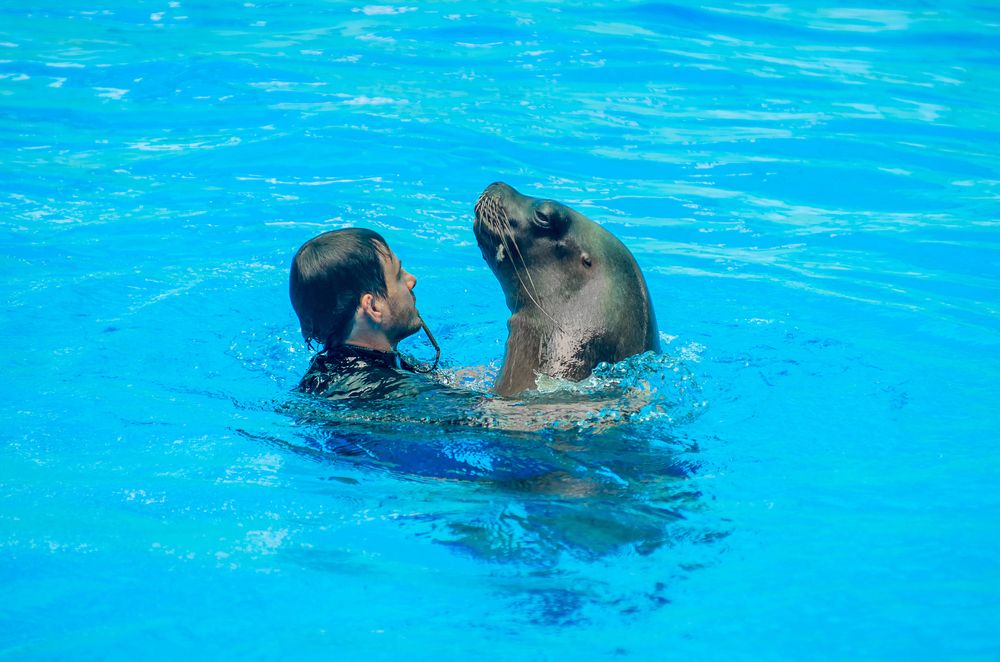 Photograph by Роман Приходько