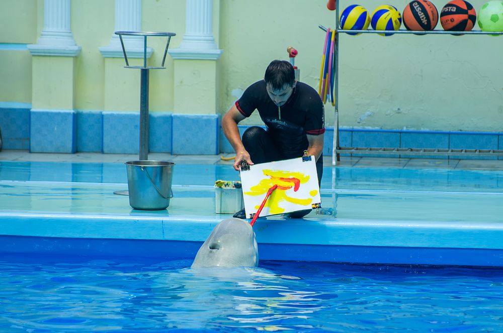 Photograph by Роман Приходько