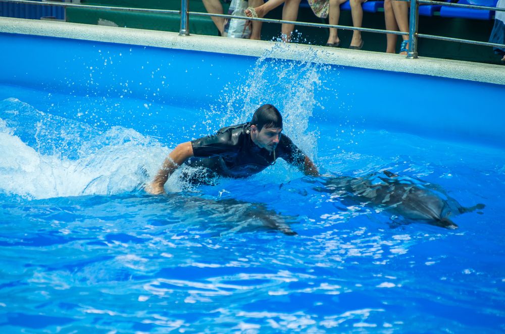 Photograph by Роман Приходько