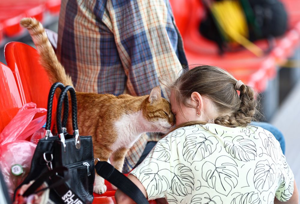 Photograph by Воронина Татьяна