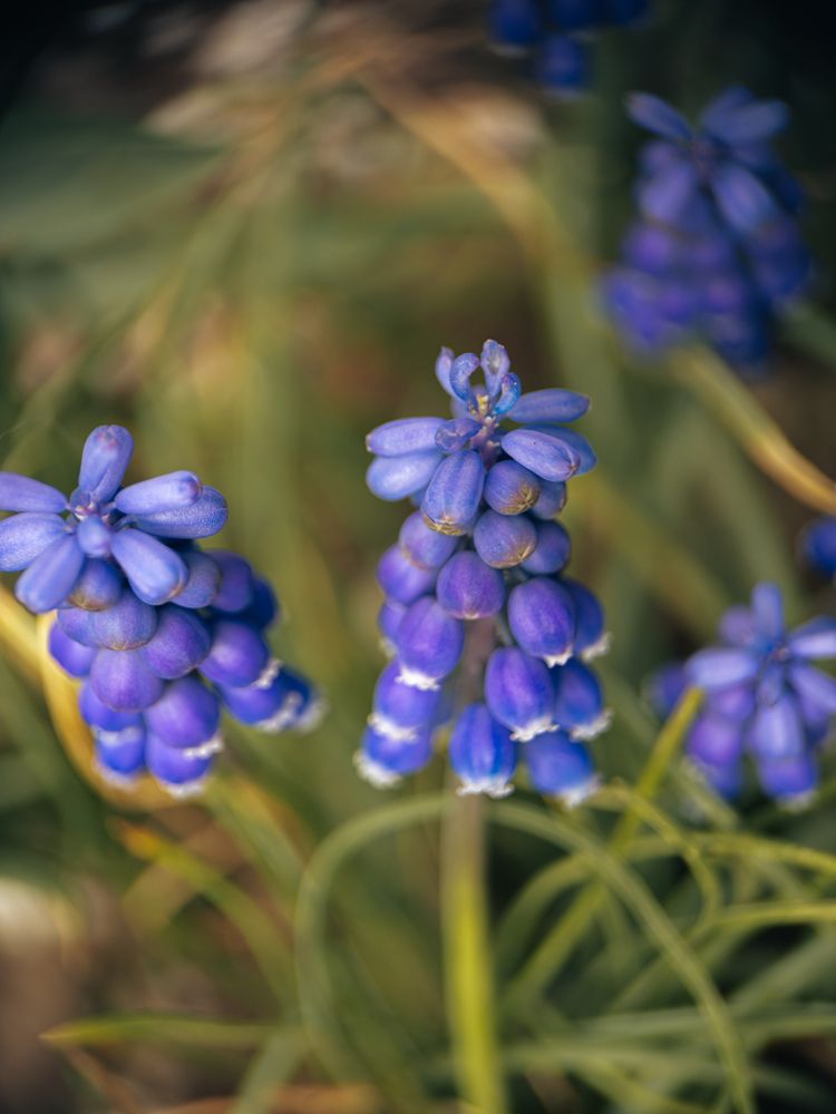 Photograph by Анна Голубцова