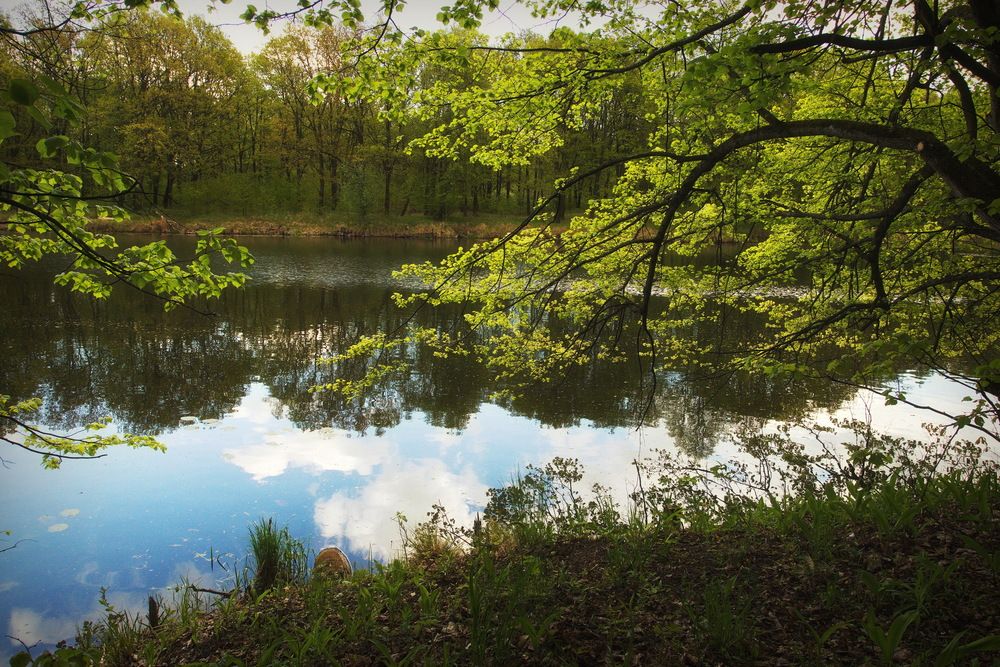 Photograph by Дружинин Андрей