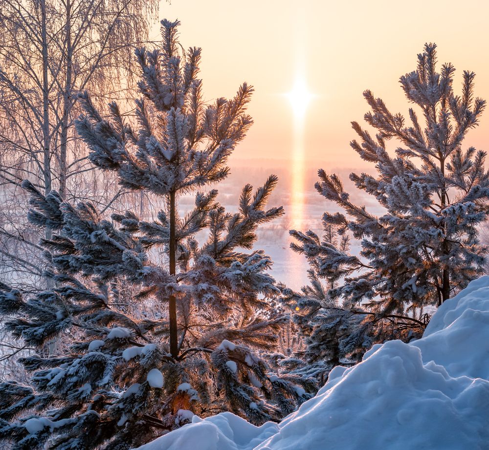 Photograph by Mark Devender