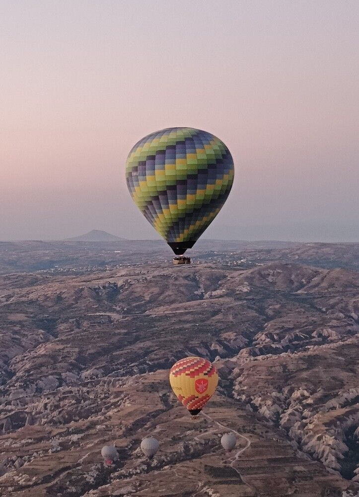 Фотография автора Елена Александрова