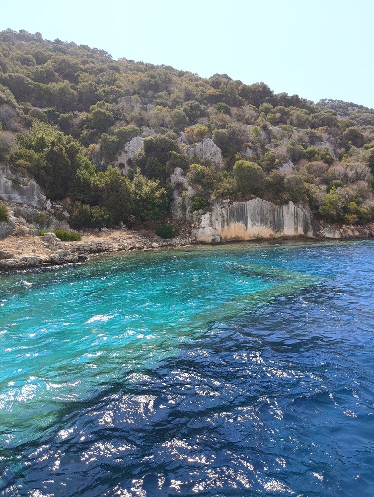 Фотография автора Елена Александрова