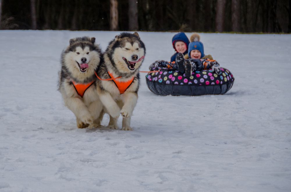 Photograph by Ольга Заповедная