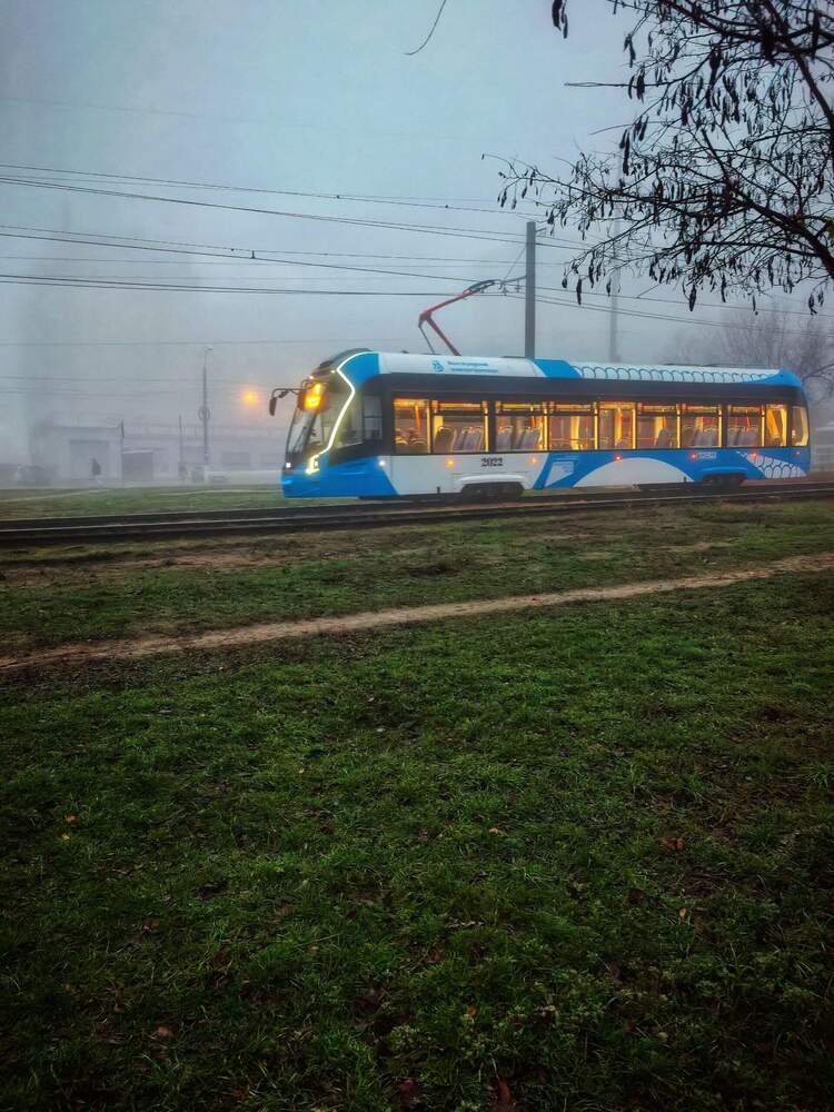 Photograph by Елена Оборник