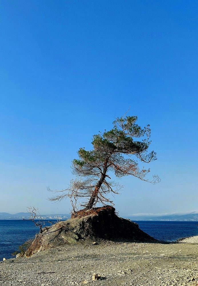 Фотография автора Виталий Петров