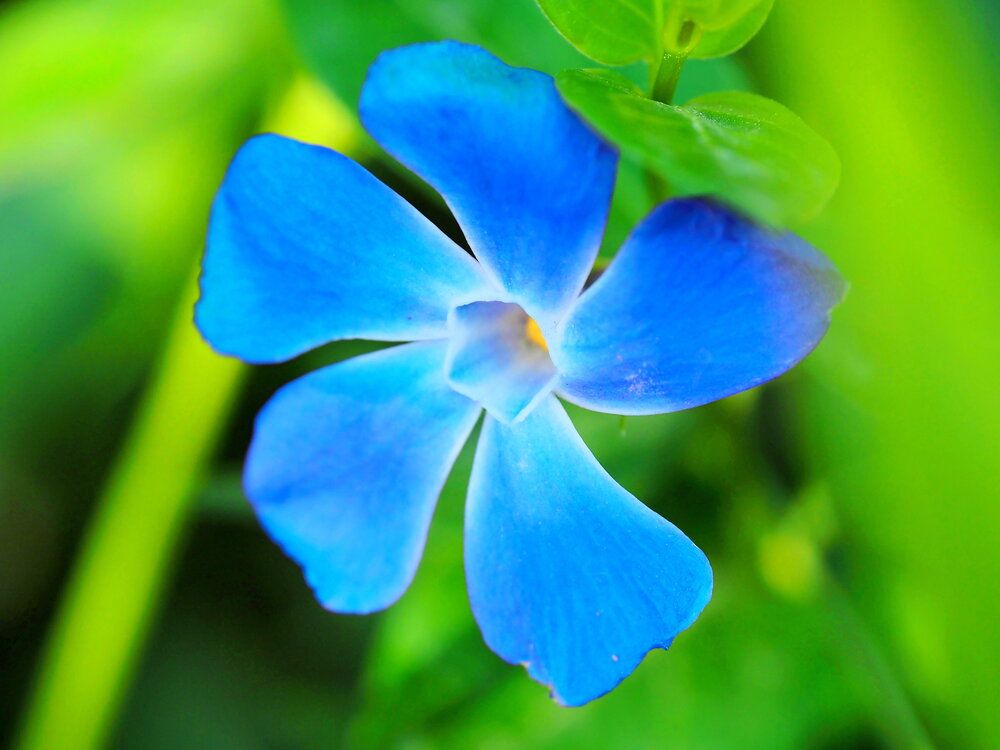 Photograph by Сергей Борисов