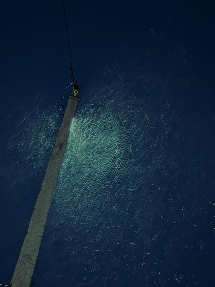 Photograph by Регина Габдулхаева