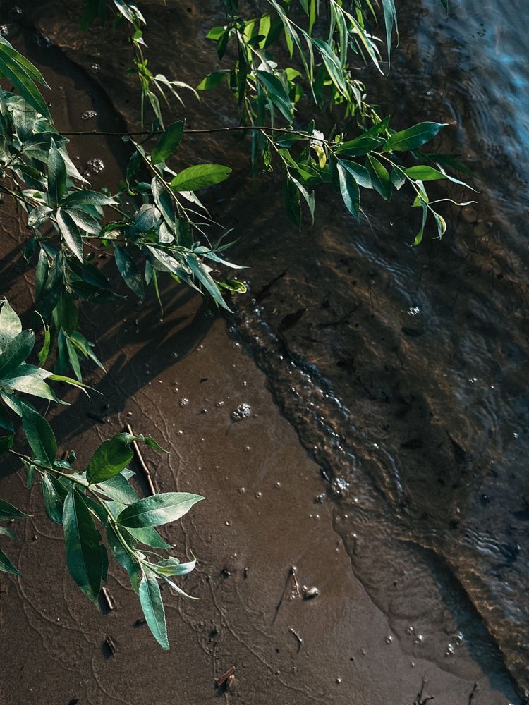 Photograph by Регина Габдулхаева