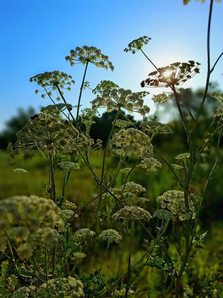 Photograph by Марина Мальцева