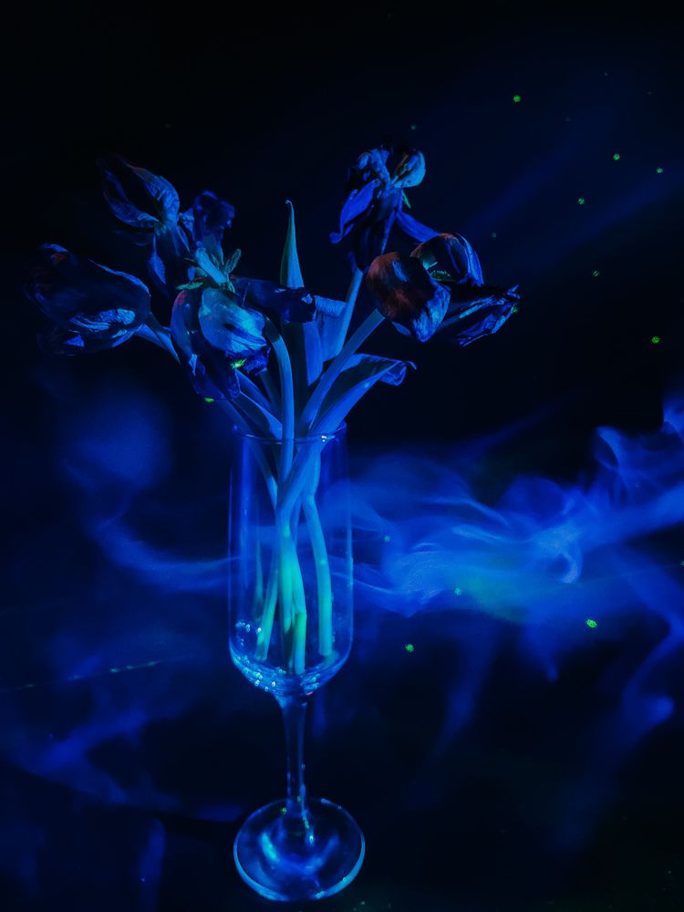 Photograph by Регина Габдулхаева