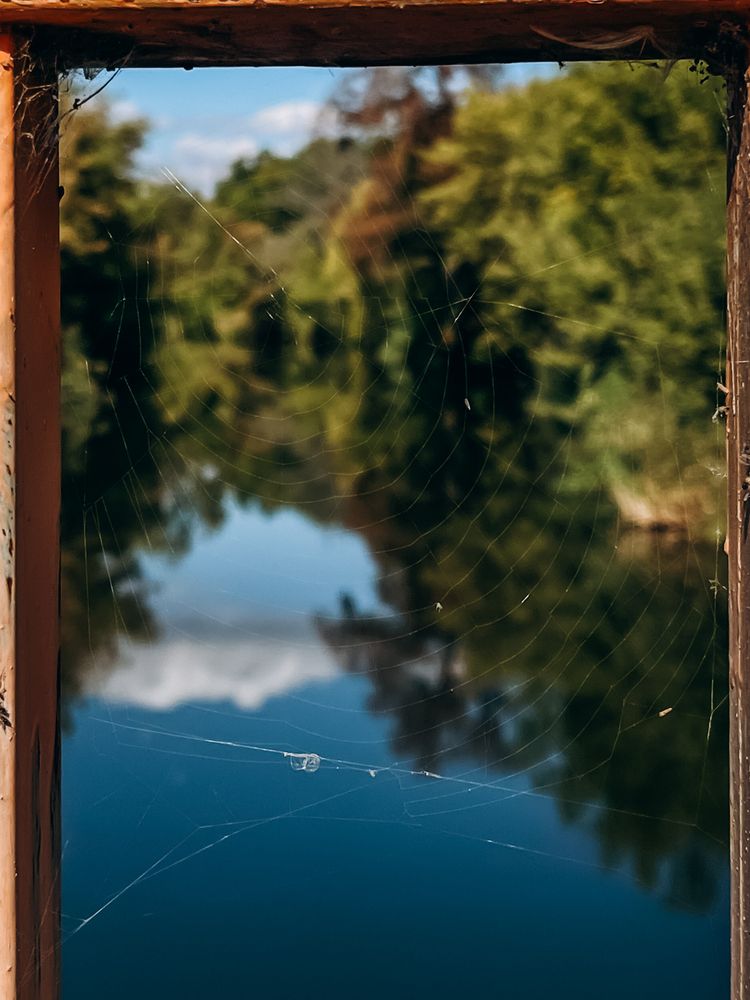 Photograph by Регина Габдулхаева