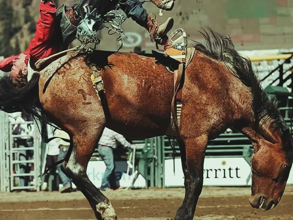 Photograph by Giuseppe Catalano