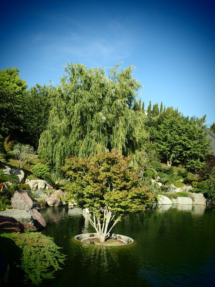 Photograph by Сергей Борисов