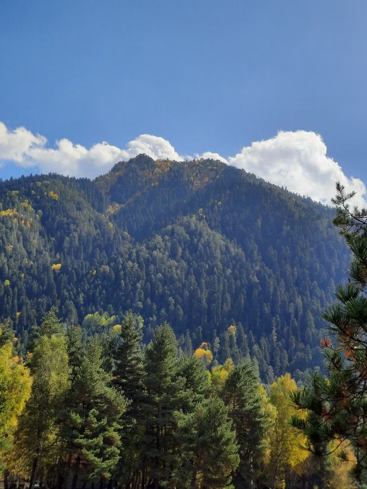 Photograph by Елена