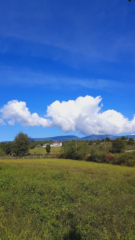 Photograph by Александра Ельникова