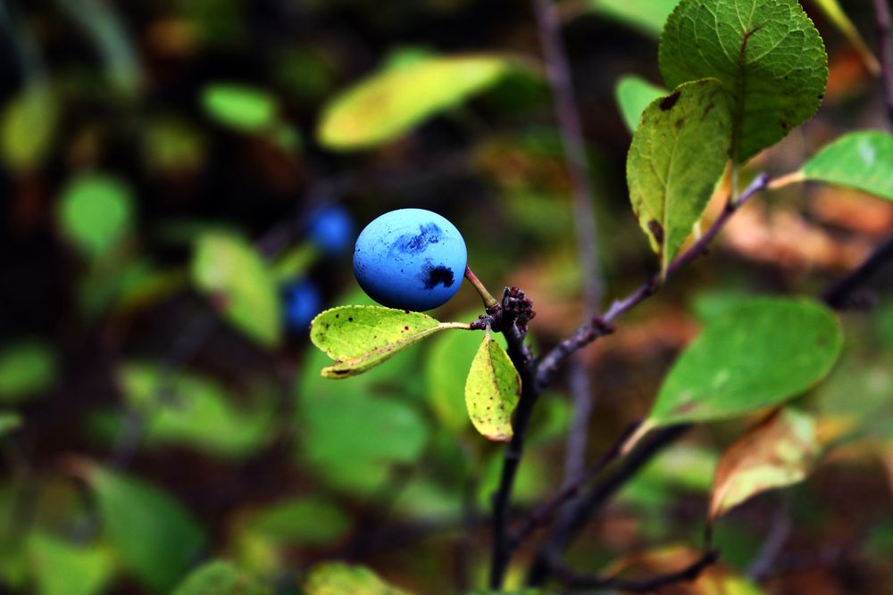 Photograph by Татьяна Королёва