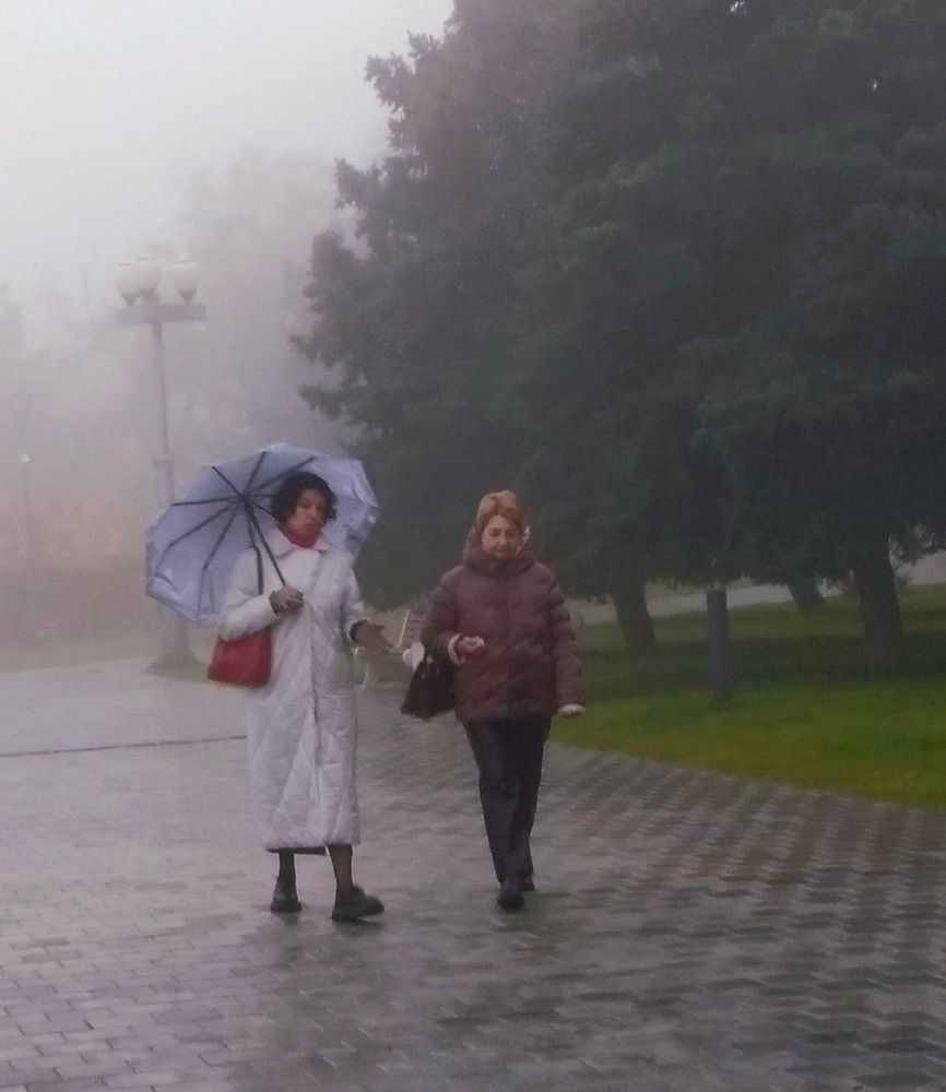 Photograph by Васильева Львовна