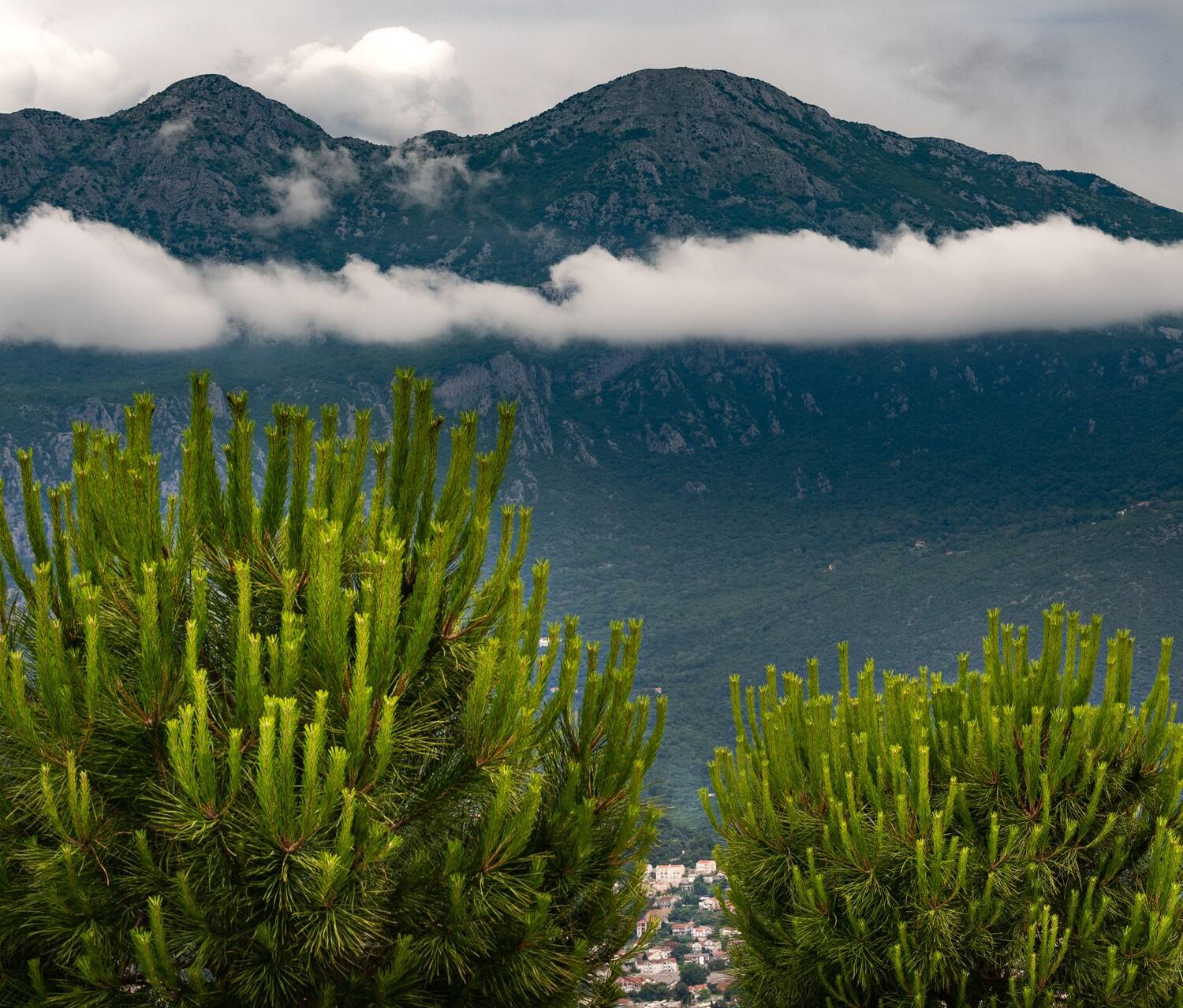 Фотография #13168770