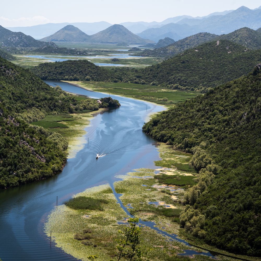 Фотография автора Анна Стрелковская