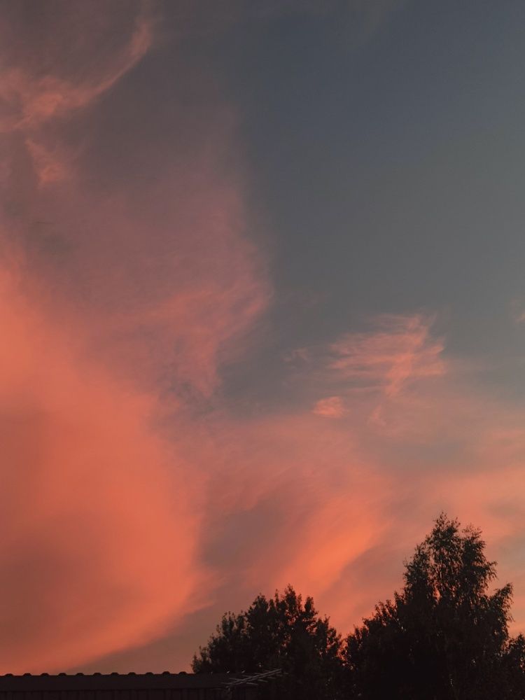 Photograph by Алина **