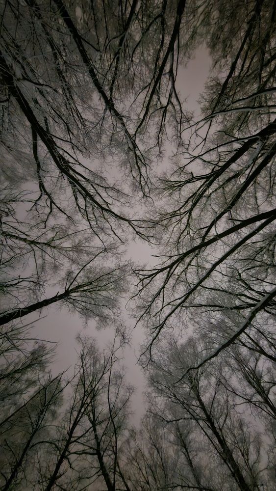 Photograph by Степан Макрушин