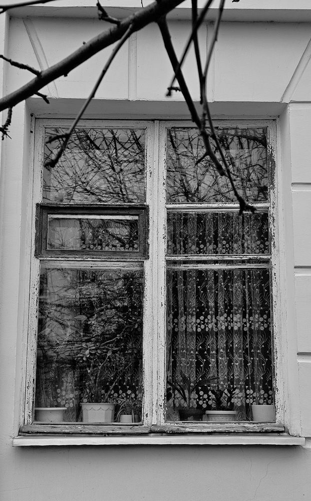 Photograph by Степан Макрушин