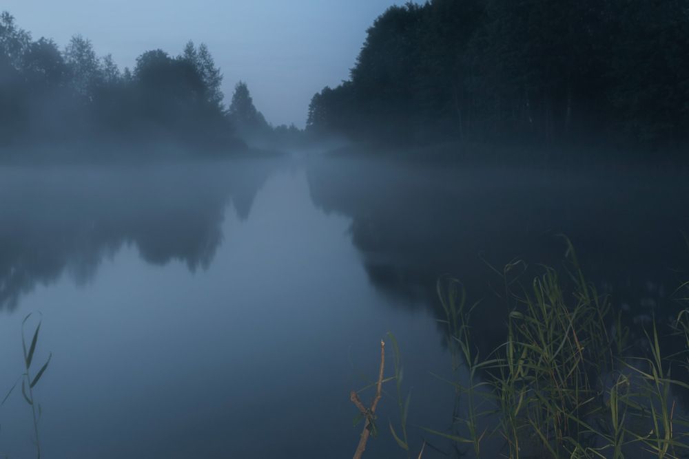 Photograph by Роман Гурененко